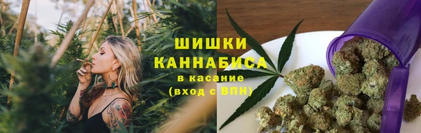 круглые Бронницы